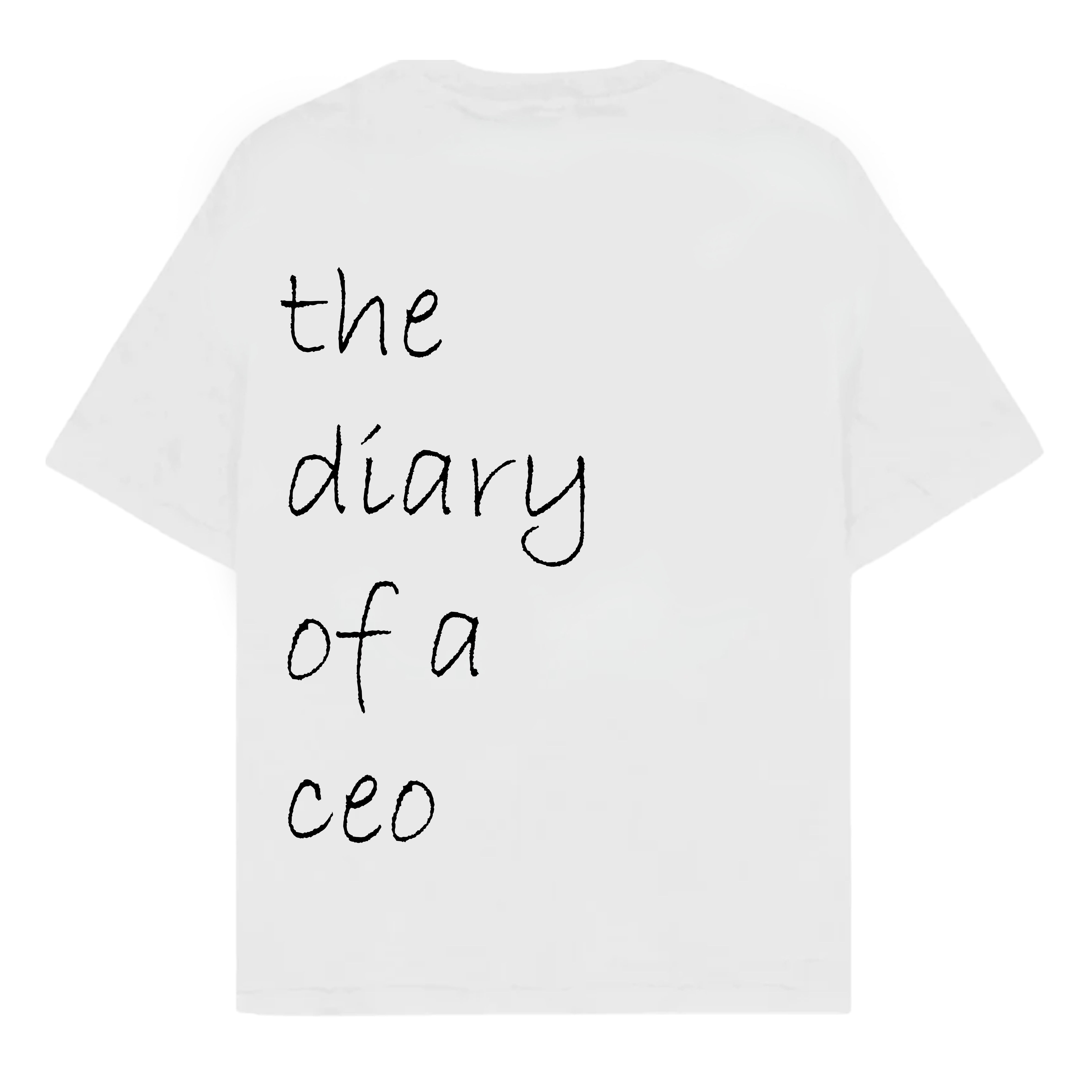 RULESS THE DIARY OF A CEO