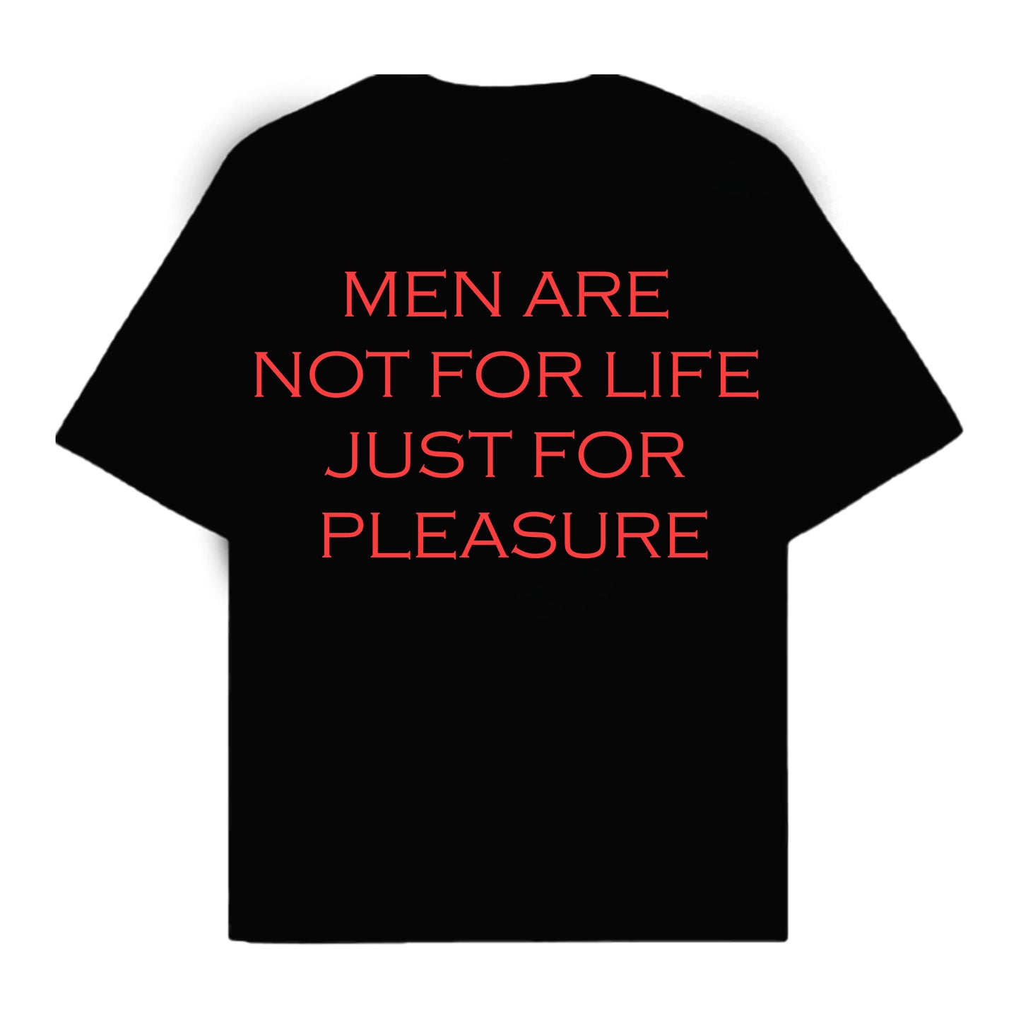 RULESS MEN ARE NOT FOR LIFE JUST FOR PLESAURE