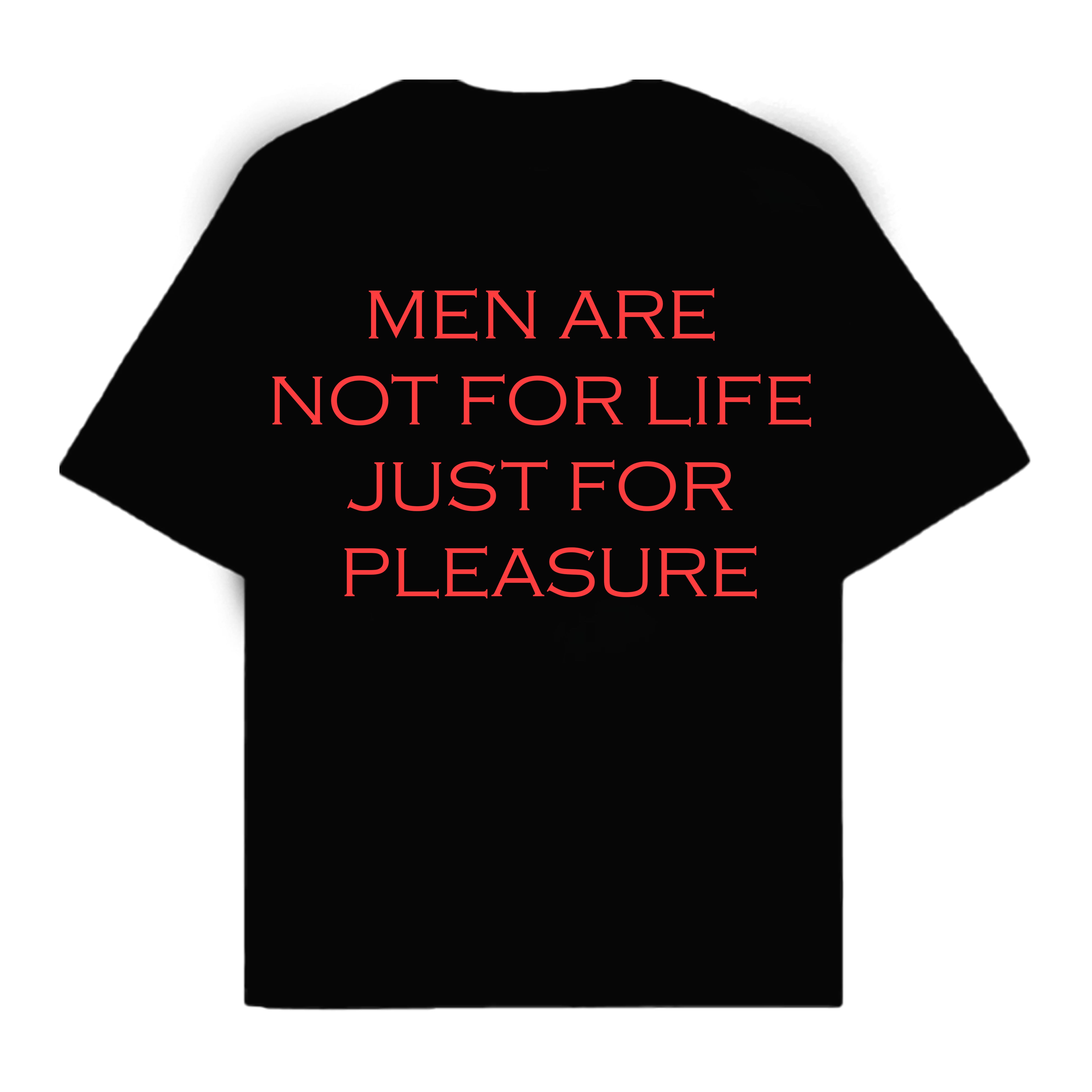 RULESS MEN ARE NOT FOR LIFE JUST FOR PLESAURE