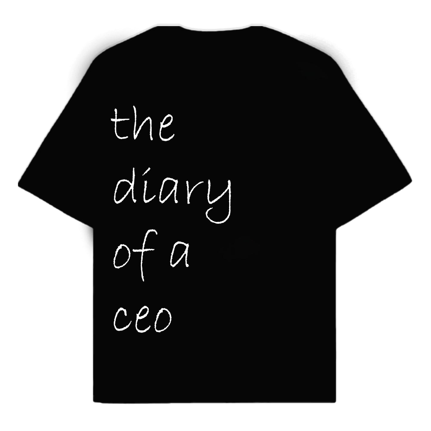 RULESS THE DIARY OF A CEO